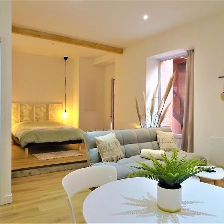 Апартаменты Sublime Cocon Pour 2 Aux Portes De La Place Nationale - Proximite Immediate Toutes Commodites Et Sites D'Interets Монтобан Экстерьер фото