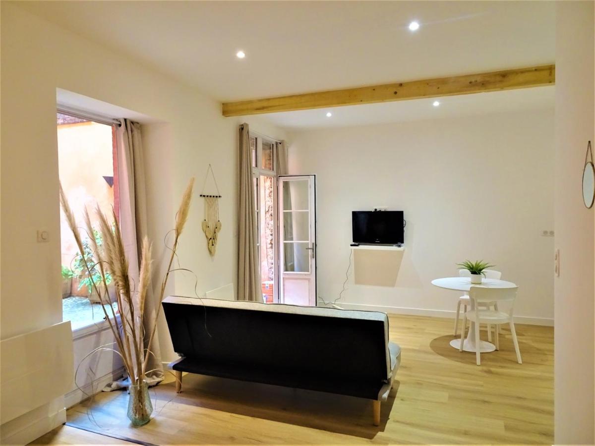 Апартаменты Sublime Cocon Pour 2 Aux Portes De La Place Nationale - Proximite Immediate Toutes Commodites Et Sites D'Interets Монтобан Экстерьер фото