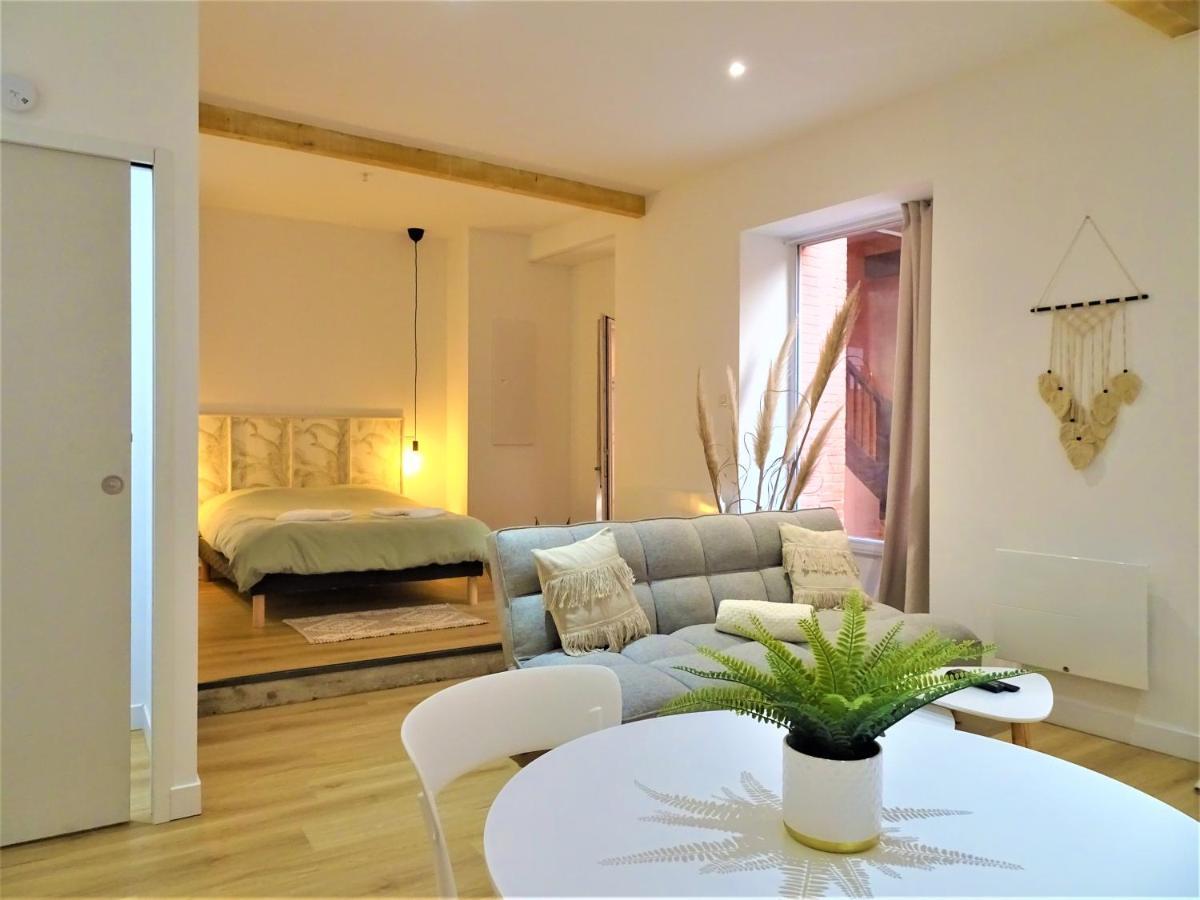 Апартаменты Sublime Cocon Pour 2 Aux Portes De La Place Nationale - Proximite Immediate Toutes Commodites Et Sites D'Interets Монтобан Экстерьер фото