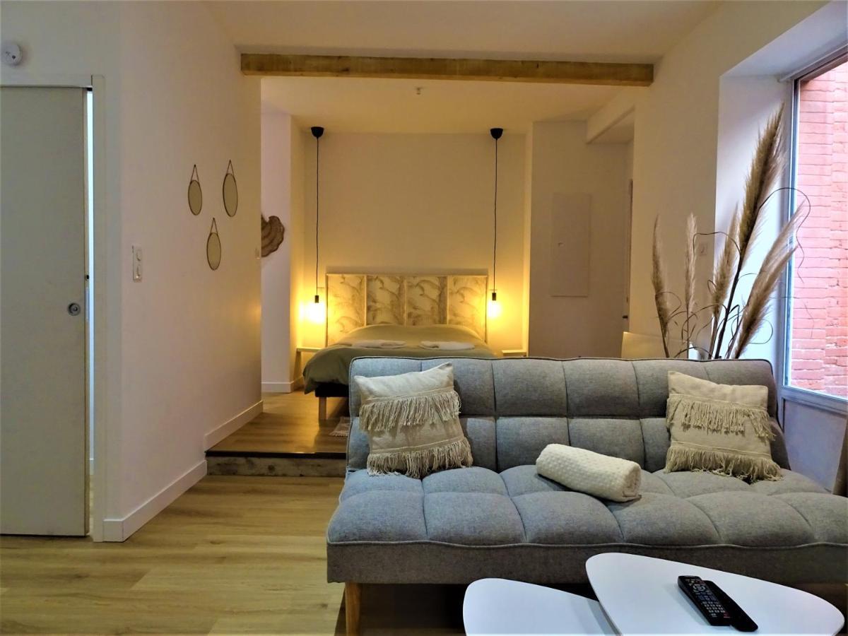 Апартаменты Sublime Cocon Pour 2 Aux Portes De La Place Nationale - Proximite Immediate Toutes Commodites Et Sites D'Interets Монтобан Экстерьер фото